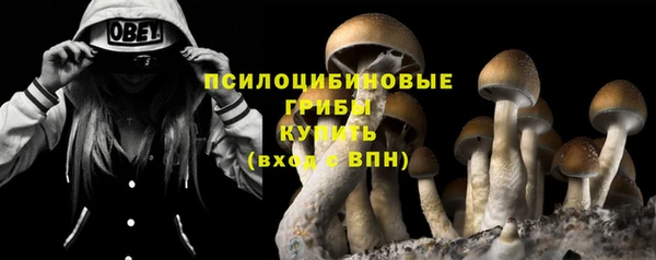 сатива Абинск