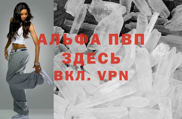 мет Алексин