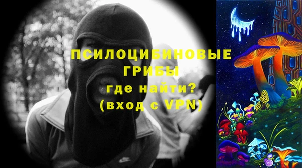 мет Алексин