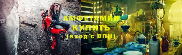 сатива Абинск