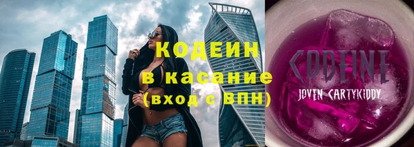 мет Алексин