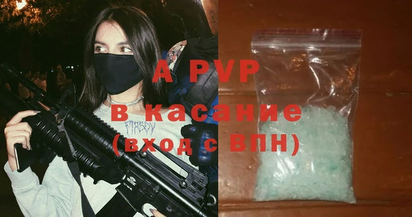 сатива Абинск