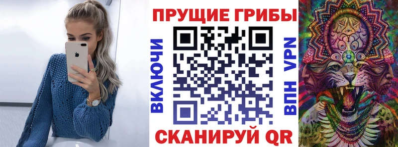 Псилоцибиновые грибы MAGIC MUSHROOMS  купить   Иннополис 