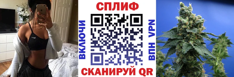 Конопля SATIVA & INDICA Иннополис
